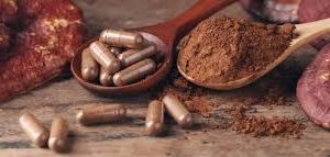 Enokitake Brain Fuel