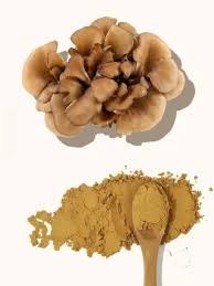 Maitake Mushroom Extract